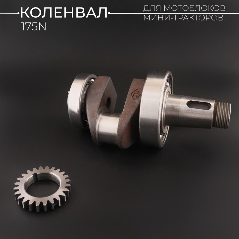 Коленвал мотоблока 175N (7Hp) (c шестернями и подшипником) (посадочные места подшипников 45/50mm) "D