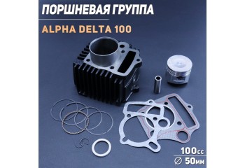 Поршневая (ЦПГ) Alpha, Delta 100 (Ø50) (гильза H-95; цилиндр H-69) 139FMB "TMMP"