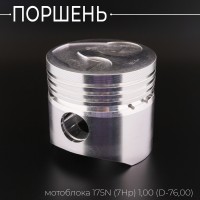 Поршень мотоблока 175N (7Hp) 1,00 (Ø76,00) (с цековками под клапана) 