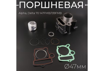 Поршневая (ЦПГ) Alpha, Delta 70 (Ø47) 147FMB/139FMB "TMMP"