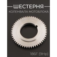 Шестерня коленвала мотоблока (узкая) 186F (9Hp) 