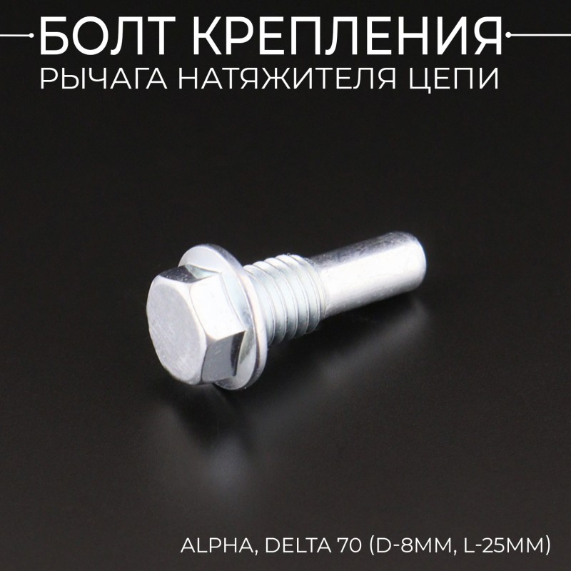 Болт крепления рычага натяжителя цепи Alpha, Delta 70 (d-8mm, L-25mm) "BEEZMOTO"