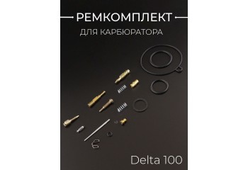 Ремкомплект карбюратора Delta 100