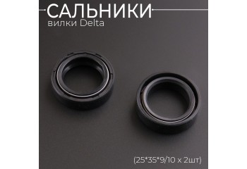 Сальники вилки Delta (25*35*9/10 x 2шт) "BEEZMOTO"
