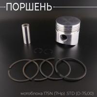 Поршень мотоблока 175N (7Hp) .STD (Ø75,00) 