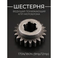 Шестерня ведущая понижающая КПП мотоблока 175N/180N (9Hp/12Hp)(6 шлицов, Z-20, D-21) 