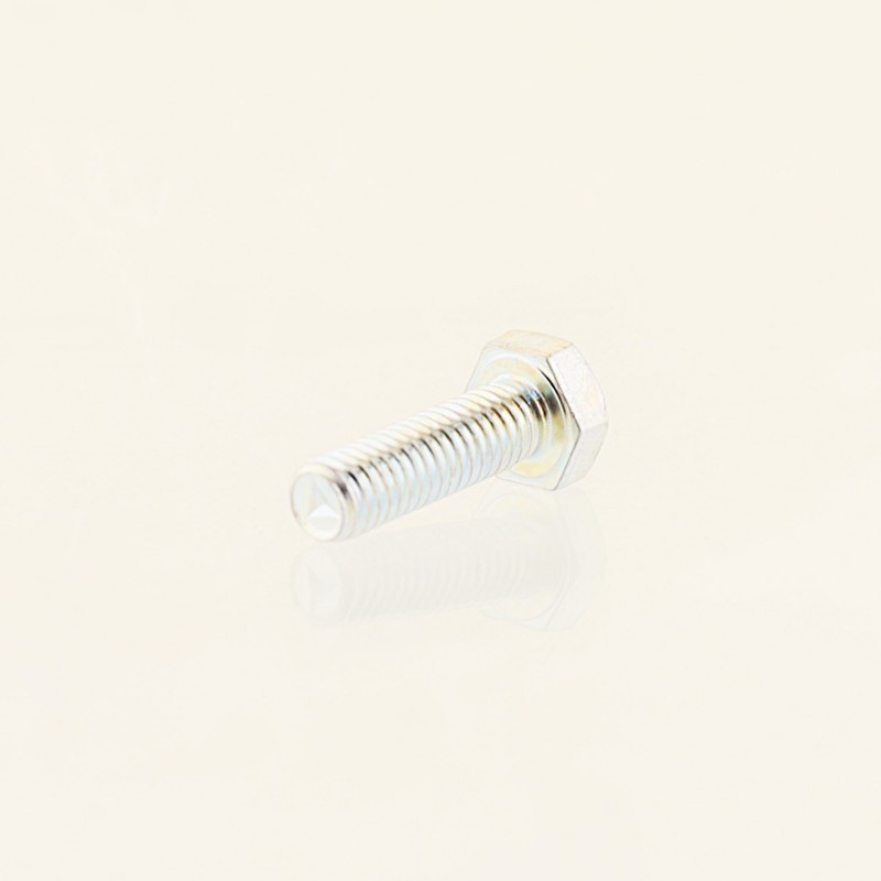 Болт крепления рычага натяжителя цепи Alpha, Delta 70 (Ø6mm, L-20mm) "BEEZMOTO"